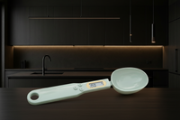 Light Green Spoon Scale Angled